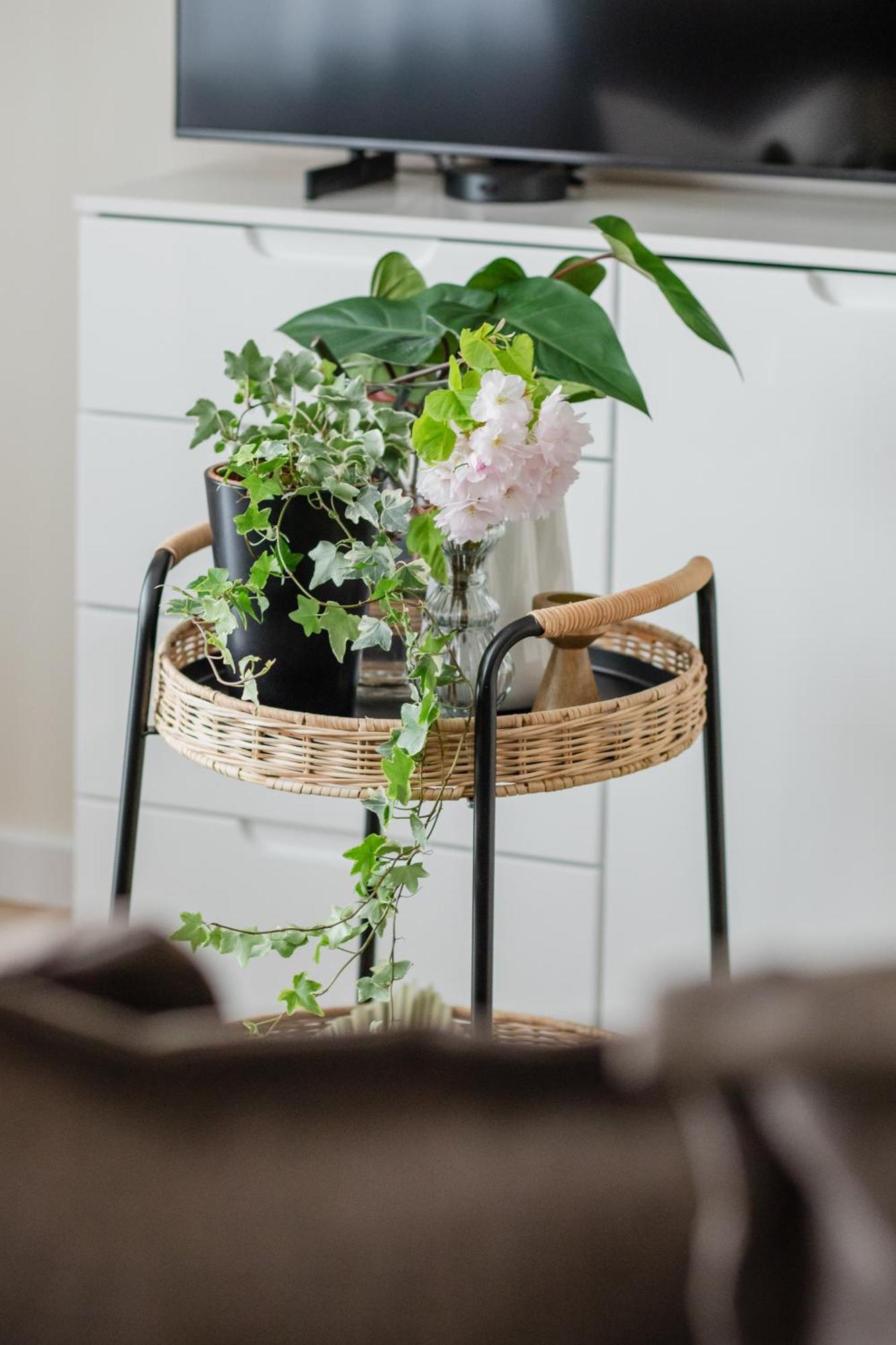 Ts Gold New Town Apartment & Free Private Parking Szczecin Buitenkant foto