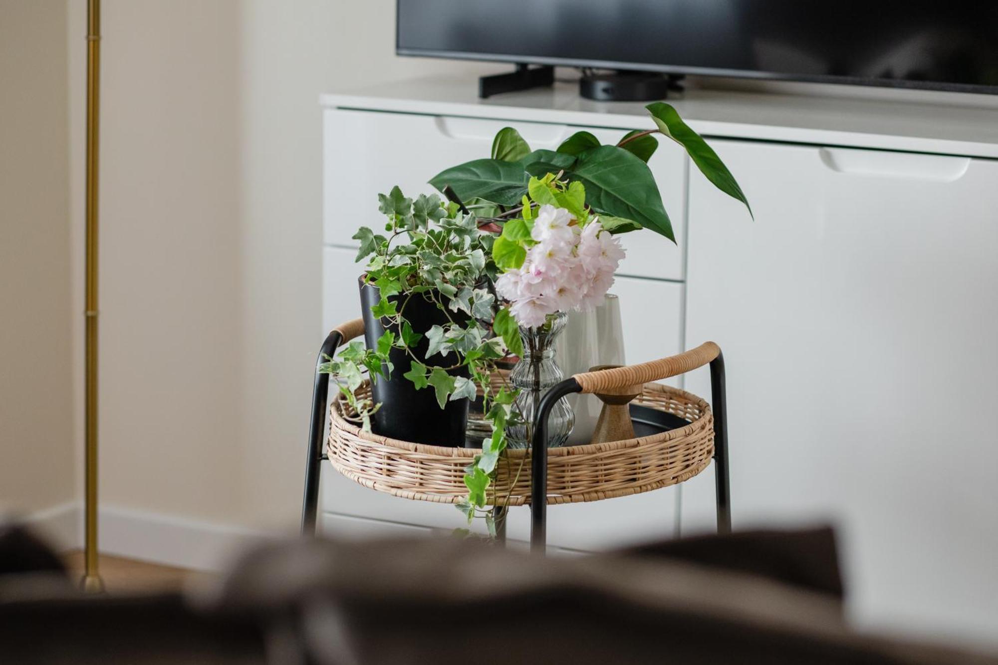 Ts Gold New Town Apartment & Free Private Parking Szczecin Buitenkant foto