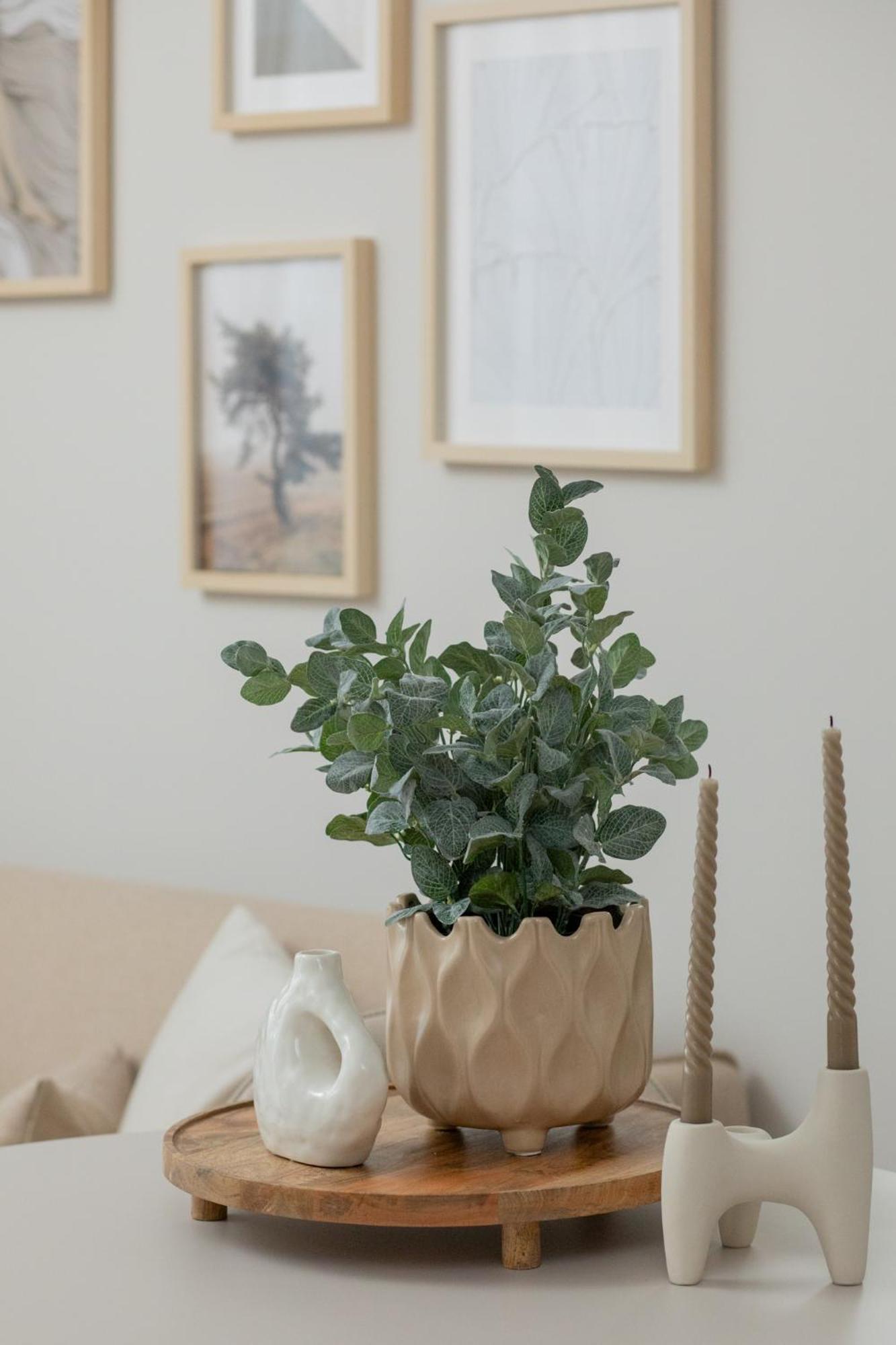 Ts Gold New Town Apartment & Free Private Parking Szczecin Buitenkant foto